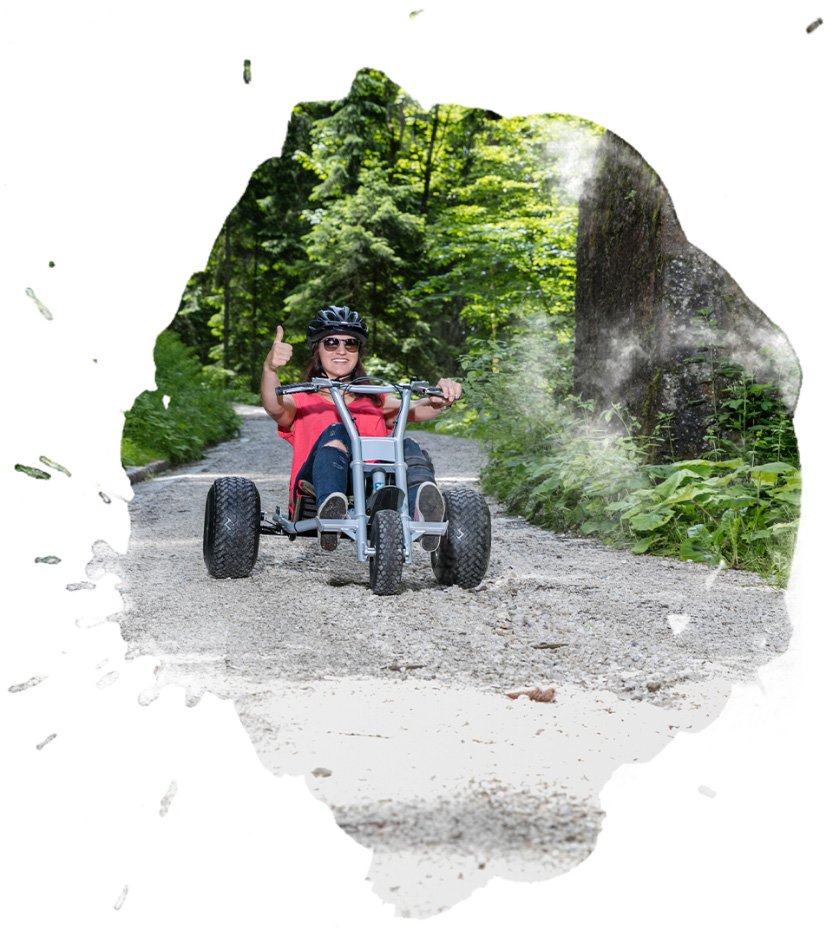 Mountain Carts - Tarife